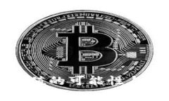 TP钱包资产增值的可能性与影响因素分析